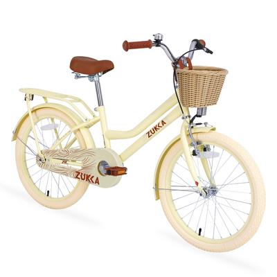20 inch Bike with Basket for 7-10 Years Old Kids, No Training Wheels Included