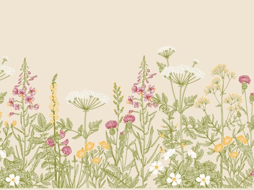 Airlaid Tischset Aurelia, 40 x 30cm, 100 Stück - Mank - Platzdeckchen Floral Blumenwiese Image