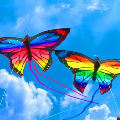 Colorful Butterfly Kite Steering Beautiful Butterfly 1.45m Kite Air Bounce with Kite Line Children's
