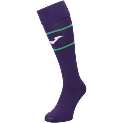 Hibernian Joma Ausweichsocken 2024-25 Image