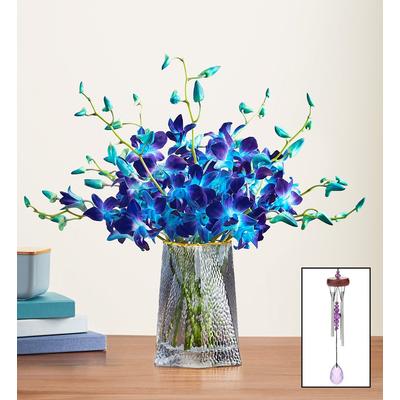 1-800-Flowers Flower Delivery A Night In Bali 10 Stems W/ Blue Vase & Windchime