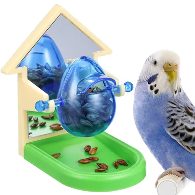 Bird Food Dispenser Toy Pet Parrot Feeder Training Toys Forage Box Food Leakage Birds Cage Food Dispenser (random color)