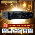 Supporto amplificatore Audio Bluetooth 12V 220V ingresso microfono USB SD FM AUX Audio digitale altoparlante Stereo Amplificador per auto di casa