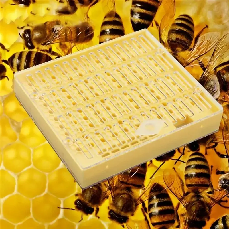 1pc Königin Aufzucht Box Bee Inkubator Bienenzucht Werkzeug Kunststoff Bee König Inkubator Frei Bewegen Zucht Box Königin Aufzucht box Käfig Image