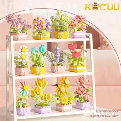 Building+Sets+Models