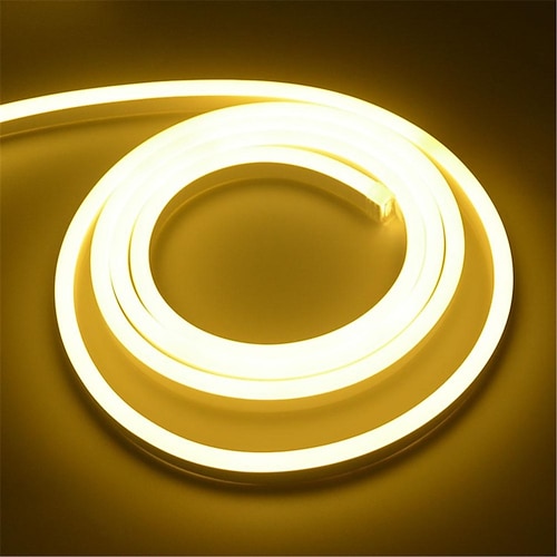 1m 2m 3M Neonstreifenlichter 150-300-450-750-1500-3000-3750-4500 LEDs Flexibel Neon Warmweiß Weiß Rot LED Neonlichte Kreativ Party Draussen 220-240 V Image