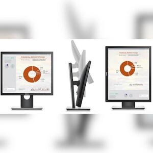 DELL P Series P1917S Computerbildschirm 48,3 cm (19