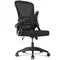 Ergonomic Office Chair with Slide Seat 90° Flip-up Armrest Adjustable Lumbar Support Angle Height