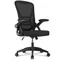 Ergonomic Office Chair with Slide Seat 90° Flip-up Armrest Adjustable Lumbar Support Angle Height