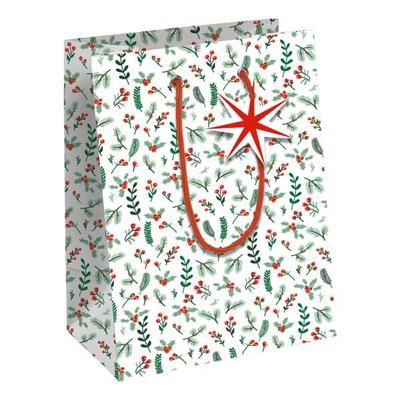 Clairefontaine 6er-Pack Geschenktasche M »Misteln«, 21.5x25.3x10.2 cm Image