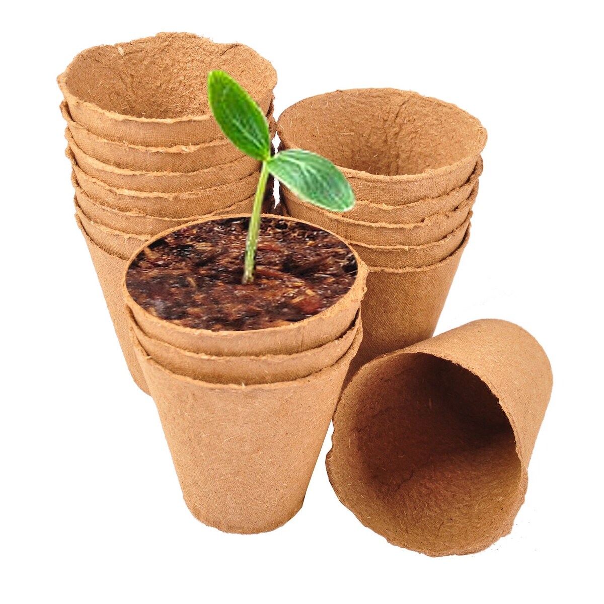 Anzuchttöpfe 16 Stück Ø8cm Pflanzschalen Aussaattöpfe Ziehtöpfe Blumentöpfe 8 Image