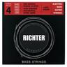 Richter Strings 40-100 Bass