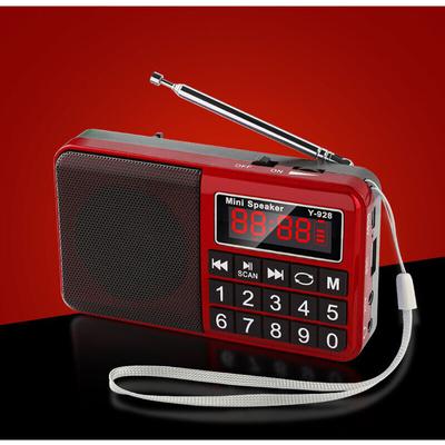 Peny - Tragbares Radio FM/AM(MW)/SW/USB/Micro-SD/MP3, Radiosender mit großen Tasten und großem Image
