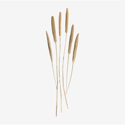 Dekorativer Blumenstrauß Koty Creme-Beige - Sklum Image