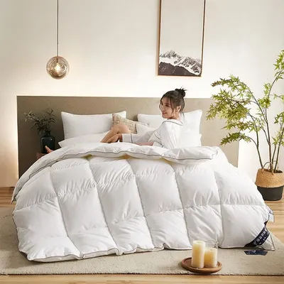 Thickened Feather Silk Cotton Quilt Luxury Soft Quilt Comforter Skin-friendly Cotton Fabric All Seasons Warm Quilt for Students