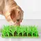 Haustiere Slow Feeder Silikon Gras Slow Food Matte Hunde Schnupftabak Pad Katzen lecken Pad rutsch feste Ess matte Haustier liefert Hund Zubehör