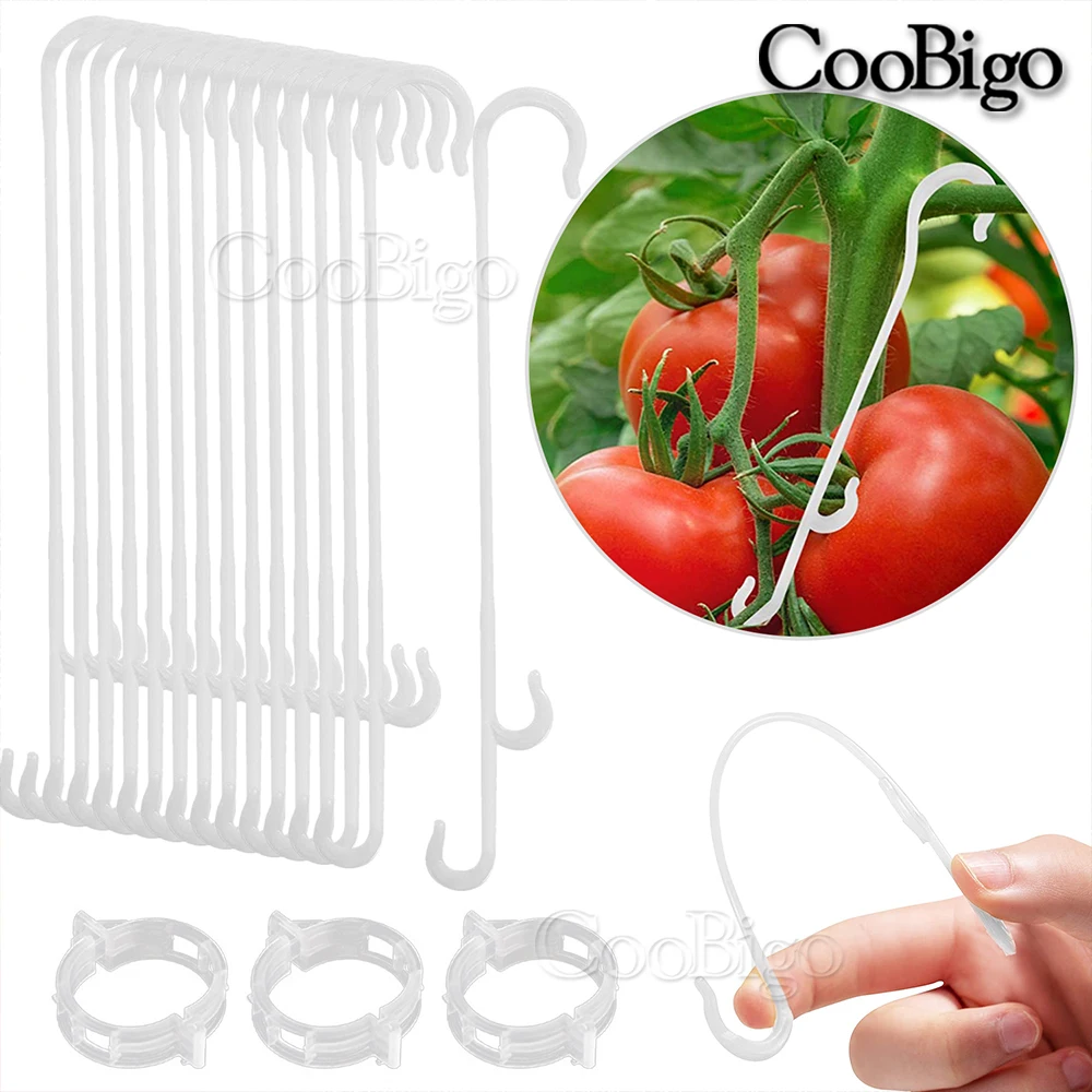 100 stücke Tomaten unterstützung j Haken clips Pflanzens tütze Gemüse clip verhindern, dass Tomaten binder kneifen oder vom Garten fallen Image