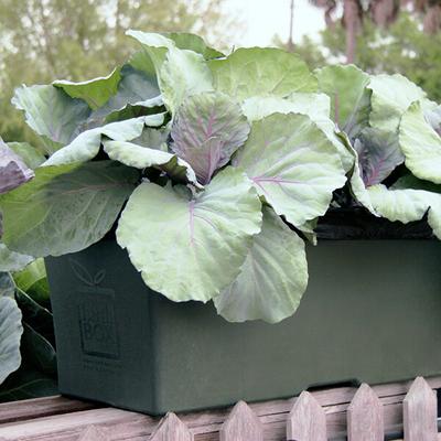 EarthBox ORIGINAL 13 1/2" x 29" x 11" Green Garden Kit