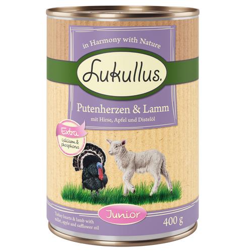 20 + 4 gratis! 24 x 400 g Sparpaket Lukullus Naturkost - Junior Putenherzen & Lamm