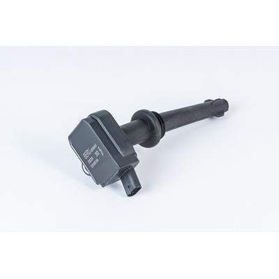 Borgwarner (beru) Zündspule [Hersteller-Nr. ZSE204] für Jaguar, Land Rover Image