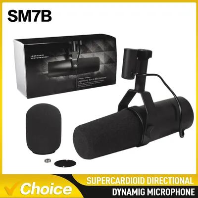 Professional Dynamic Microphone Selectable Frequency Response Mic for Studio Recording Performance