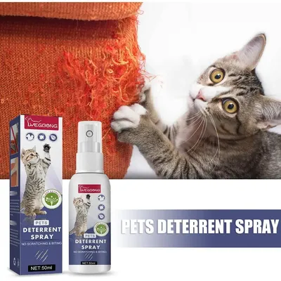 Katzen kratzer Abschreckung spray natürliche Kratz katzen Anti-Kratz-Spray Orange Duft tragbare Sofa Möbel Protektoren