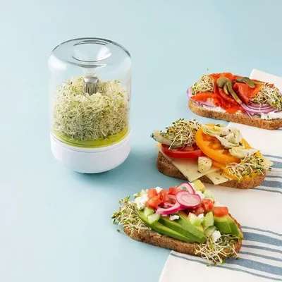 Countertop Sprouter Sprouts Growing Kit Reusable Household Kitchen Bean Plants Sprouting System