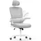 Ergonomic Office Chair with Adaptive Lumbar Support/3D Headrest/Flip-up Armrests, Computer Mesh