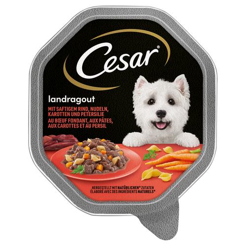 14x 150g Landragout mit Rind, Nudeln und Karotten Cesar Hundefutter nass