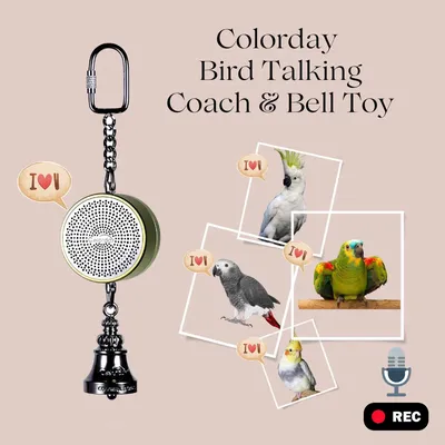 Parrot Toys to Teaching Training Bird Talking Coach Interactive Recording Playback Retell Electronic