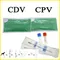 Canine CDV CPV Distemper Parvovirus Test Paper Kit Raid Strip Card Pet Dog Home Hospital Clinic