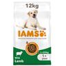 12kg Lamb Large Dog Adult Advanced Nutrition IAMS Dry Dog Food