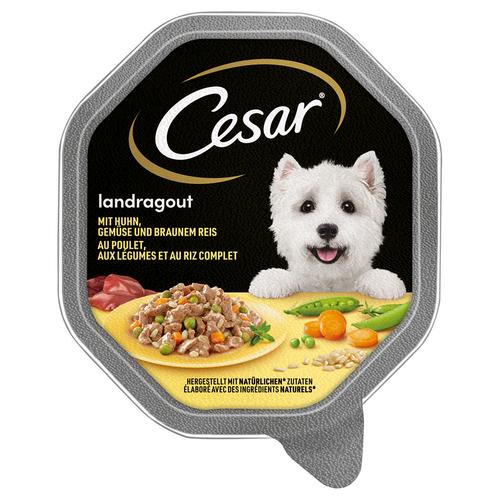 28x150g Landragout mit Huhn, Gemüse und braunem Reis Cesar Hundefutter nass