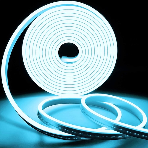 Neon-LED-Streifenlichter 1 m 2 m 3 m 4 m 5 m mehrfarbig 2835 smd LED IP65 wasserdichtes flexibles Silikon-Lichtschlauch mit DC12V-Adapter und Touch-Dimmer-Schalter-Kit für Innen- und Außendekoration Image