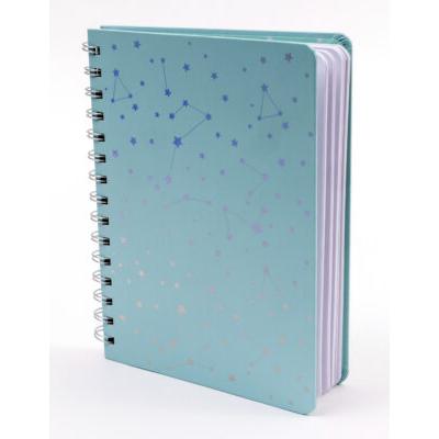 Holographic Celestial Spiral Journal