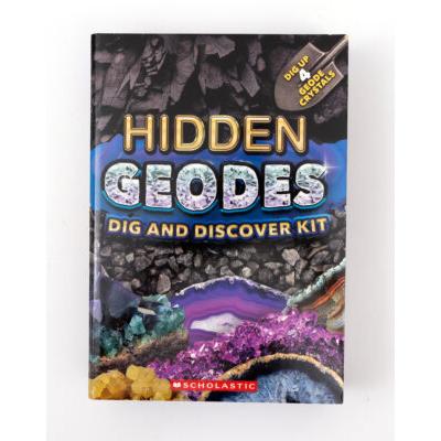 Hidden Geodes Dig and Discover Kit