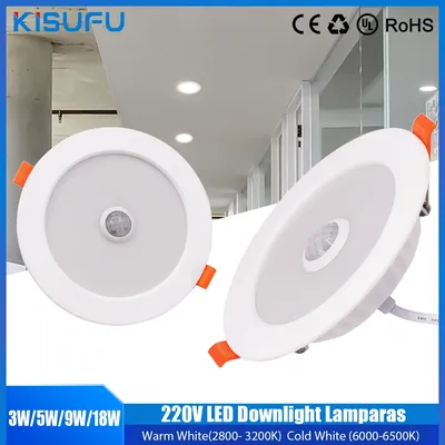 Motion Sensor Spot LED Downlight Lamparas 220V Ceiling Light 3W 5W 9W 18W Warm/Cold White Panel Light For Hallway Stair Depot