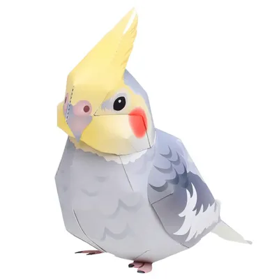Card image cap