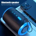 # Altoparlanti Bluetooth wireless con altoparlante portatile TSN-1 con modalità FM/SD/disco USB/AUX stereo 5.3 impermeabili per audio Hifi esterno
