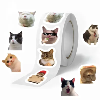 500 teile/rolle Lustige Katzen MEME Cartoon Graffiti Aufkleber DIY Telefon Gitarre Laptop Notebook Image