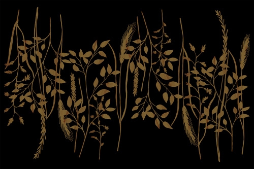 Airlaid Tischläufer David in Schwarz, 40 cm x 24 m, 1 Stück - Mank - Gräser Sträucher Image