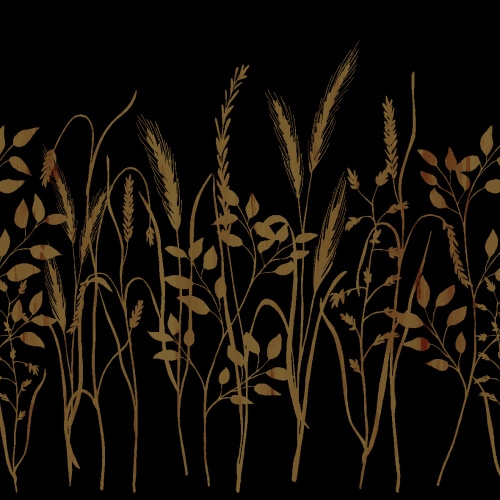 Airlaid Serviette David in Schwarz, 40 x 40 cm, 50 Stück - Mank - Gräser Sträucher Image