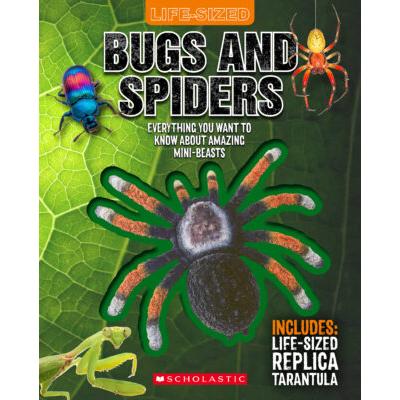 Life-Sized Bugs and Spiders (with replica tarantula!)