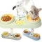 Haustier Katze Schüssel Automatische Feeder Hundefutter Schüssel Mit Wasser Brunnen Doppel Schüssel Trinken Erhöhte Stand Schüssel Schüsseln Für Katzen