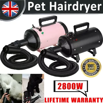 Vicky home Motorrad Auto Fahrrad Fahrzeug Power Trockner, tragbare Gebläse & Blaster Haustier Hund Image