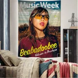 Sänger b-beabadoobee 'fake it flowers' Musik album Diagramm Wandteppich für Wohnzimmer Wohnheim