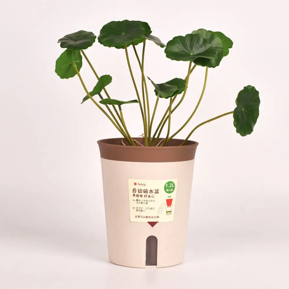 Fauler hydro po nischer Blumentopf wasser absorbieren der Blumentopf saftiger Blumentopf Kunststoff selbst bewässern der Pflanzer Wohnzimmer Büro Dekor Image