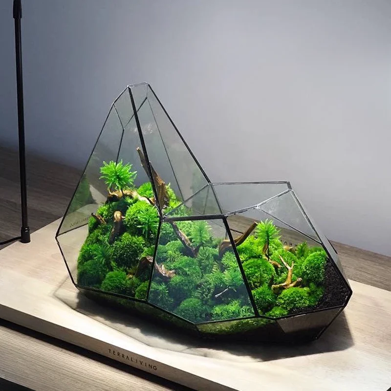 Mikro Landschaft Glas Vase Regenwald Terrarium Moos Pflanzer Eco Vase Home Decor Geometrische Glas Blumen Zimmer Hydrokultur Vase Image