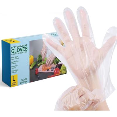 G & F Products Plastic Food service Gloves 1000 Pieces