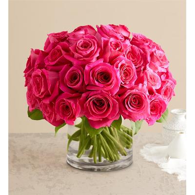 1-800-Flowers Flower Delivery Contemporary Hot Pink Roses Large